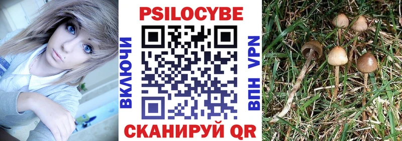 Галлюциногенные грибы Psilocybe  Буинск 